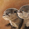 Baby River Otters